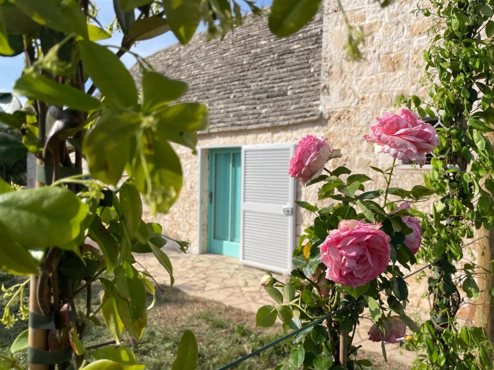 Giardino Dei Trulli Cummerse Faccia di Trippa di Monte Esterno foto
